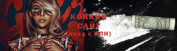 прущие грибы Армянск