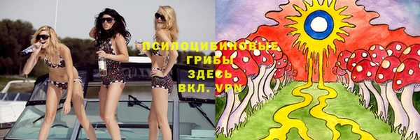 винт Арсеньев