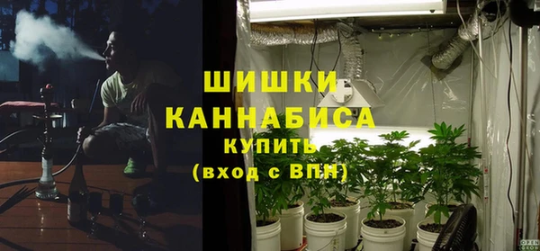 прущие грибы Армянск