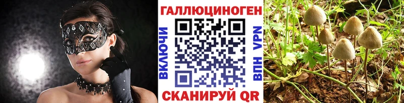 Галлюциногенные грибы мухоморы  Купить где  Лебедянь 