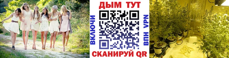 Бошки Шишки VHQ  Купить где  Лебедянь 